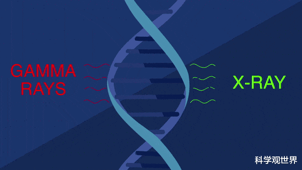 行星 一次核事故让他全身DNA破裂，最终看着自己的身体逐渐腐烂