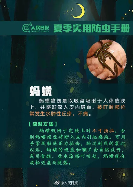 芒果都市 警惕！入侵中国，快速蔓延！
