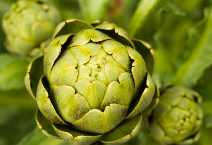 蔬菜|它被誉为蔬菜中的“王者”，长像似莲花灯，一斤能卖40元，可惜少人懂！