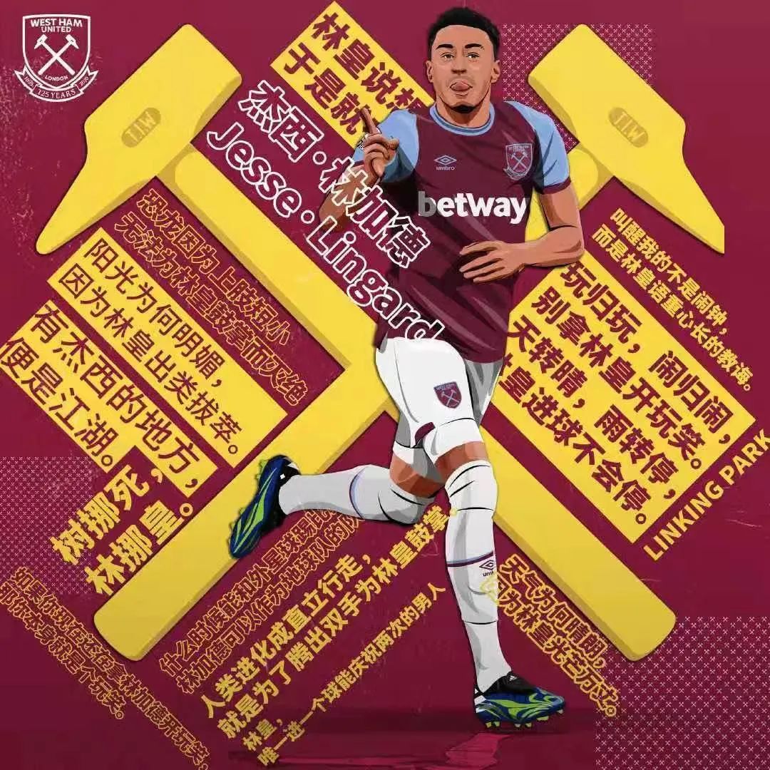 足球哔哔哔 林加德·本纪