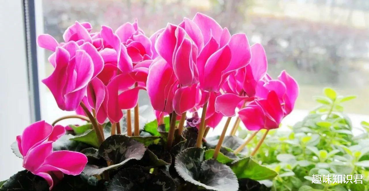 科学家 盘点8条好玩有趣的冷知识，快来看看你知道多少呢？