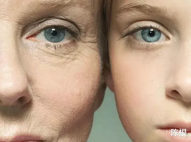 拥抱 陈根：被忽视的衰老“凶手”：蛋白质