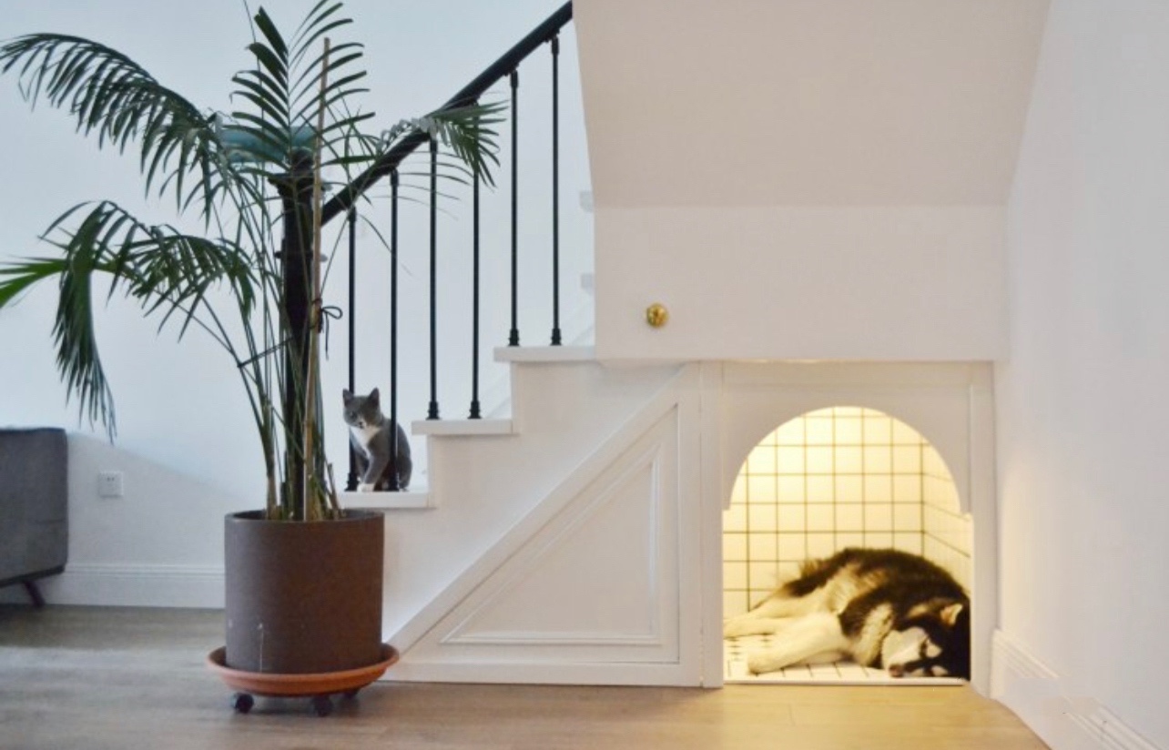 铲屎官|给“铲屎官”们的9条家居装修建议！