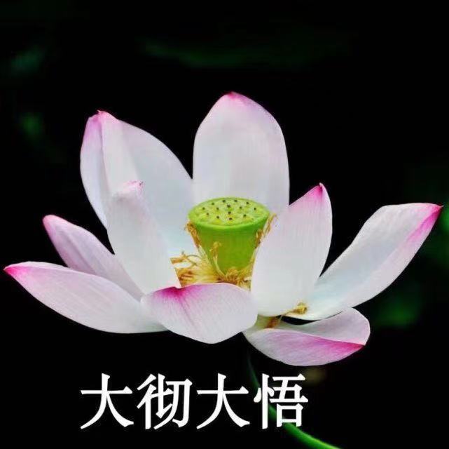 在逃少女含泪说情感|男生学会这两点，逆风也能翻盘，女生不再把你当成老好人
