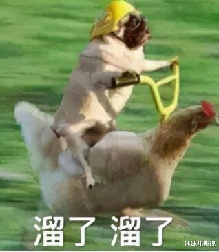 司马懿|离婚女主持的终极大瓜来了