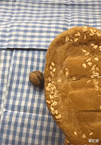 |“嫂子就因为胖了一斤就拼命的健身减肥，完全看不出胖在哪里呀！”哈哈哈