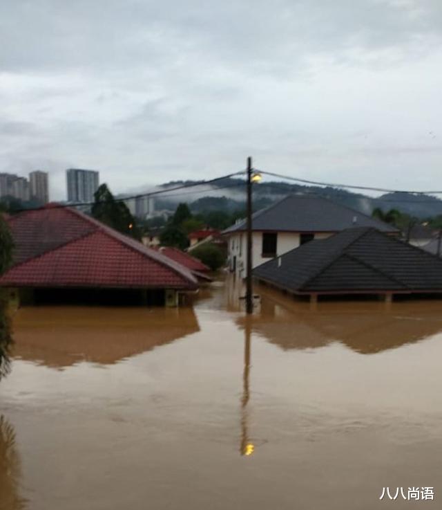 歌手|知名女歌手官宣离婚，曾参加《歌手》第二季，收养的女儿也被曝光
