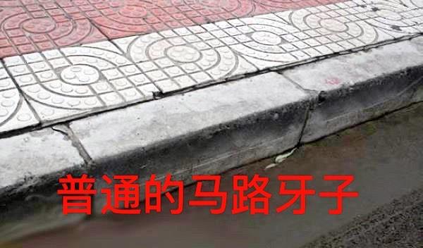 蔡宏志聊时尚 辽宁一马路牙子引热议，司机说很人性化，行人却强烈反对