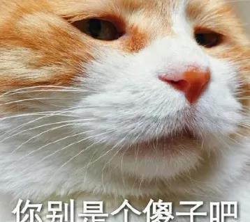 言冰云|承认了！和当红小花当剧组夫妻，现在东窗事发互泼脏水？！