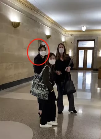 郑爽|郑爽庭审自爆多个大瓜，这也太绝了吧