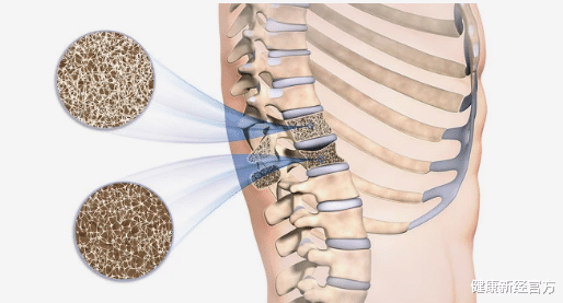 健康新经官方 “强骨剂”被找到,比骨汤、虾皮更管用,40岁后常吃骨骼或能硬如“铁”
