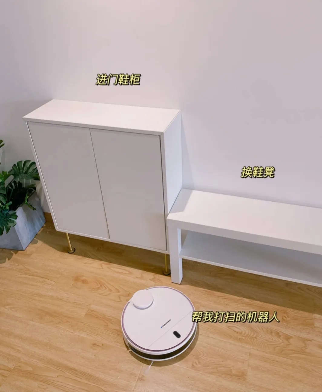 买前饱受争议，用后表示真香，这5样家居用品，每一个都戳中痛点