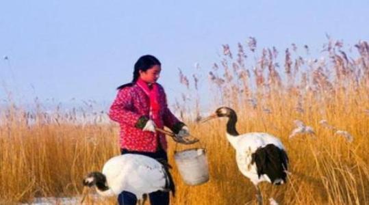 观地说历史 她23岁因公壮烈牺牲，一首歌传遍中华大地，弟弟接班27年后殉职