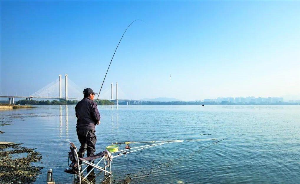 饵料|野钓鱼不开口怎么办?出现这几种漂相,不会钓鱼的人也中鱼