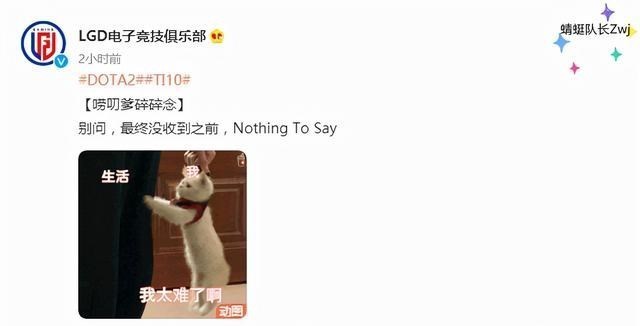 安一妈妈学育儿|Dota2：LGD完全体来了？xiao8即将退役！官博：Nothing To Say