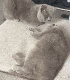 时尚炫点 “女神手滑发来制服自拍,把细节放大10倍后...没想到小丑是我自己?”