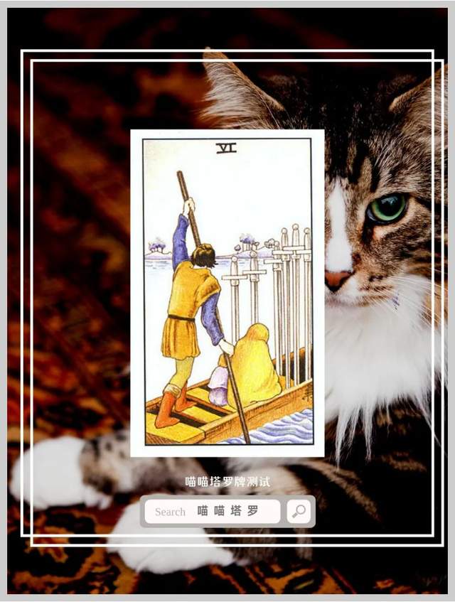 喵喵的塔罗|喵喵塔罗牌测试,你能靠什么赚到大钱?