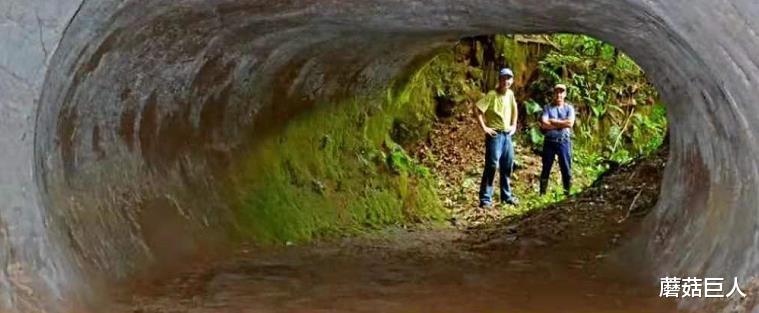 蘑菇巨人|南美大隧道竟然牵连更深谜团，竟渉史前大战，人类你还孤独吗