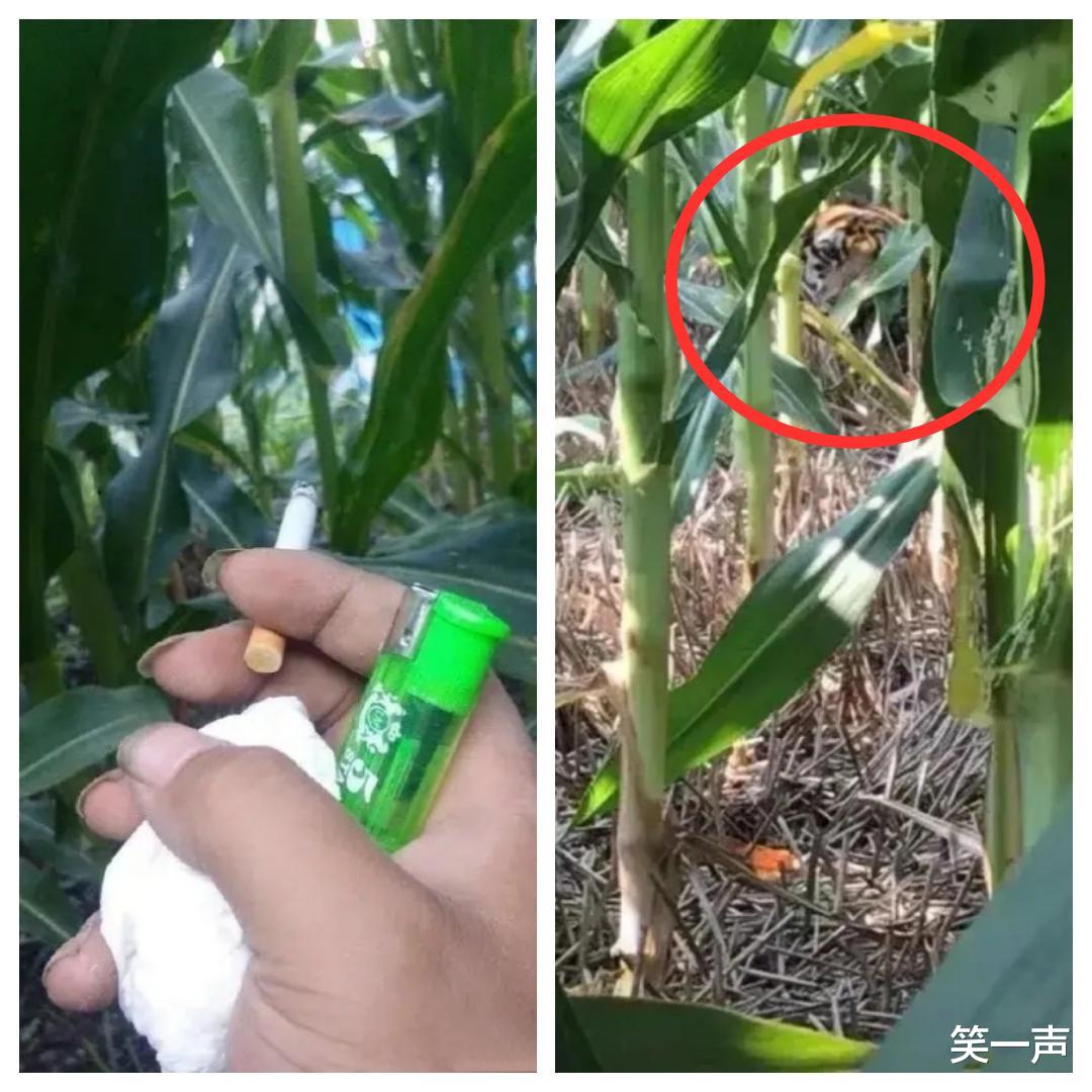 |小姐姐你在画什么呢？看上去很认真的样子，一股子艺术感的气息