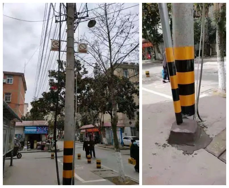 牛哥观察 阜阳一小区内拍下，连夜处理！