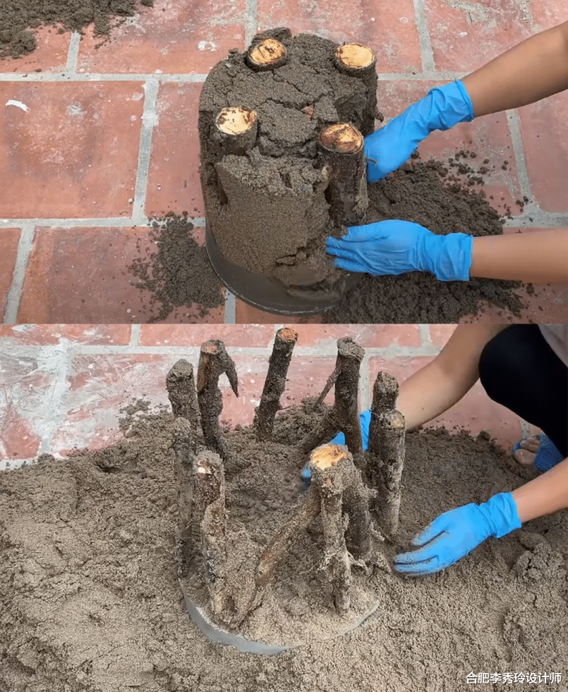 捡一把枯树枝，和点水泥教你给家里做几把凳子，独一无二不用花钱