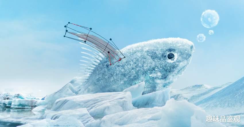 灯塔水母 地质学家发现200万年前的活青蛙，皮肤柔软有光泽