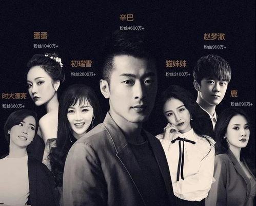 带货|事故不断仍活跃，辛巴真实身份？真相爆出后众人了然