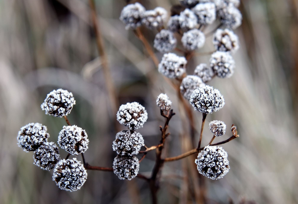 生肖夜读|7月，财运飙升，好事一件接一件，3生肖贵人相助，事业有成，财大气粗
