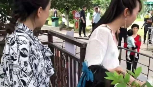 育儿心课堂 暖心！庐山脚下，野果飘香，网友：“童声”是可以温暖许妈的声音