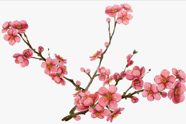 恒哥超级奶爸|赏画品诗，翰墨飘香：王冕的梅花诗情画意，诗人的形象跃然纸上