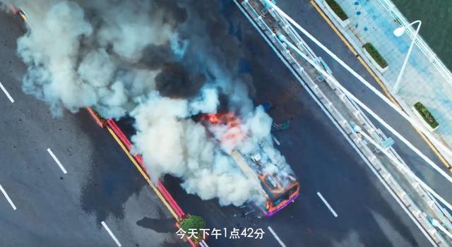 正午阳光|正午阳光新剧定档1月11日，白敬亭赵今麦主演，看到导演非常期待