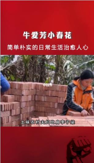 带货|牛爱芳的小春花：憨厚形象是假的？旧视频剧本被扒，网友坐不住了