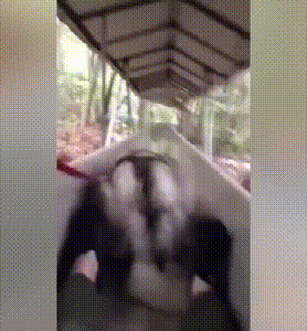 二两橘子 广东东莞，两位工人在某商场的电梯里面运送玻璃，玻璃瞬间被夹碎