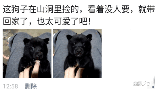?“上山捡了条狗,感觉萌萌哒!”网友:它妈找到你,更可爱!哈哈哈