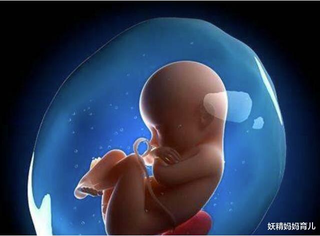 妖精妈妈育儿|显怀，不显怀？影响孕肚大小的因素有很多，胎儿大小只是其中之一