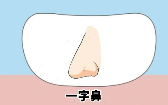 中国易经风水|鼻子看运势，一种鼻子一种命，“发财鼻”“穷人鼻”，看你属于哪种？