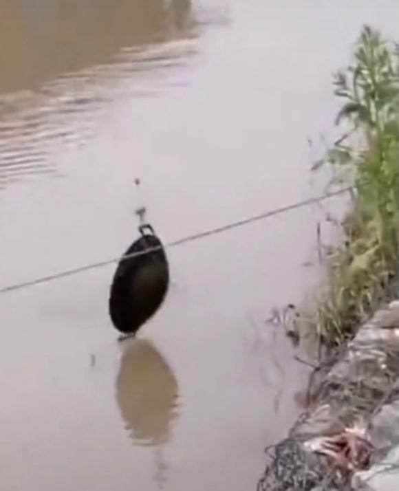 |除了钓不到鱼,真的什么都能钓到,你都钓起来过哪些奇葩?