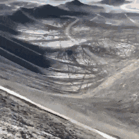 歪骆驼|“学校老师给小朋友留的暑假作业之一，题目是《画爸爸的车》”