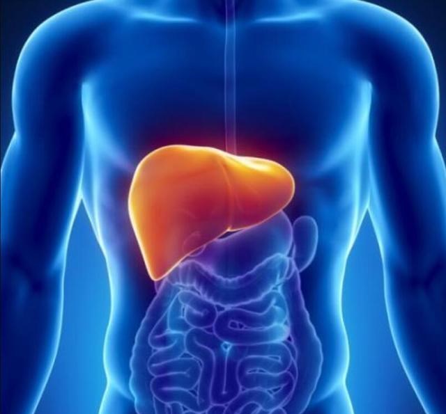 隔离 世界上如果没有生殖隔离，将会怎样？其实并非是好事！