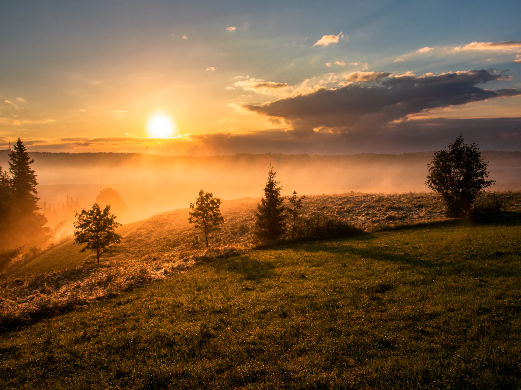 本人讲星座|心思缜密，先见之明的星座，善于掌控人心，但没有什么控制欲
