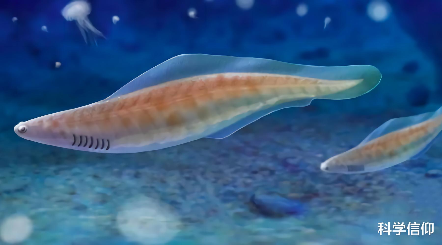 月壤 人不仅是猿变的,还是从鱼进化而来的,怎会如此有趣?