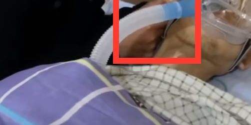 许敏|预言家！放大镜找不到许敏的恩，却能看清杜女士说了什么