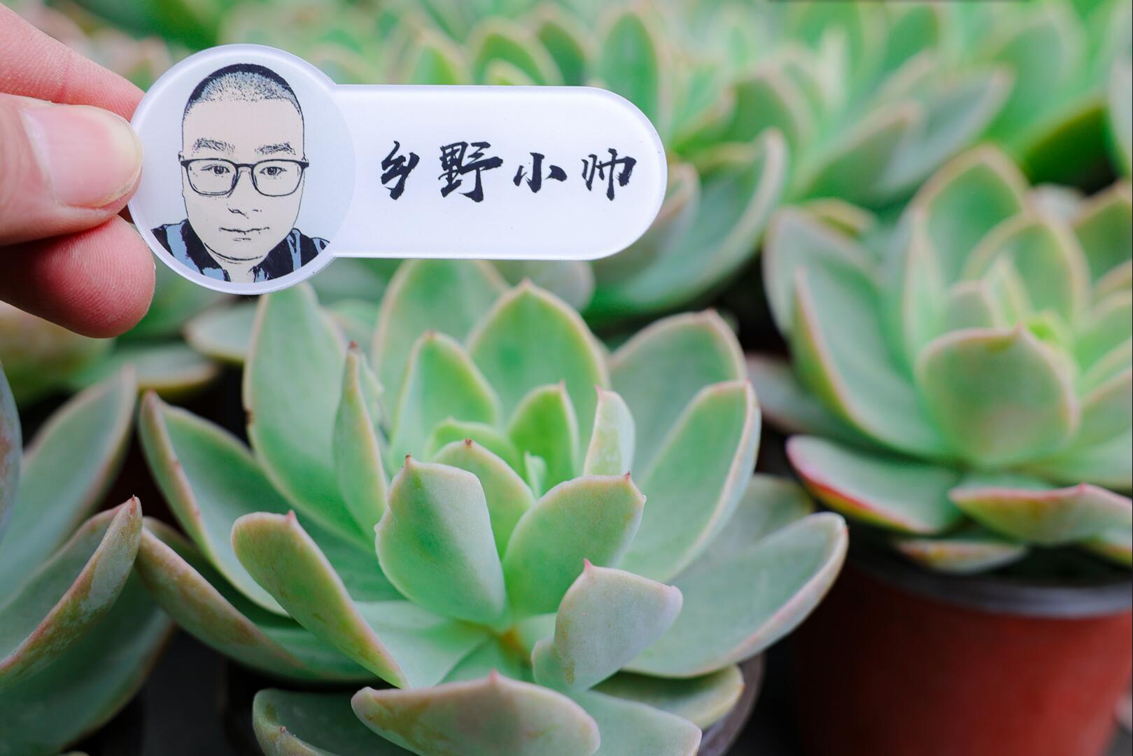 乡野小帅 肉肉度夏困难？听小帅告诉你度夏可以这样做