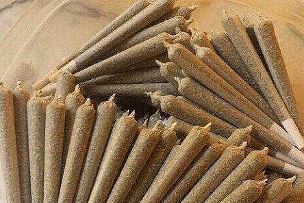 舜网 男子骑自行车过边境，却被警察制服，翻开车轮胎后，才恍然大悟