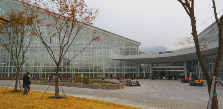 美关商贸 韩国国立世宗树木园的万圣节气氛