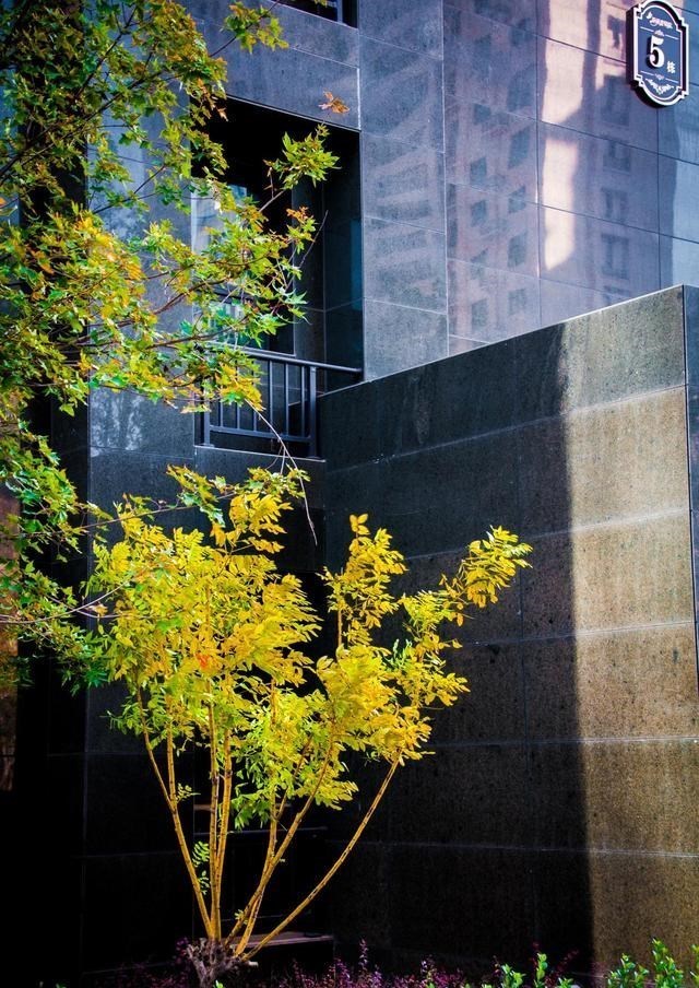 天明情感说 就恋这把热土，光圈里的小城叫涞水（连载三）