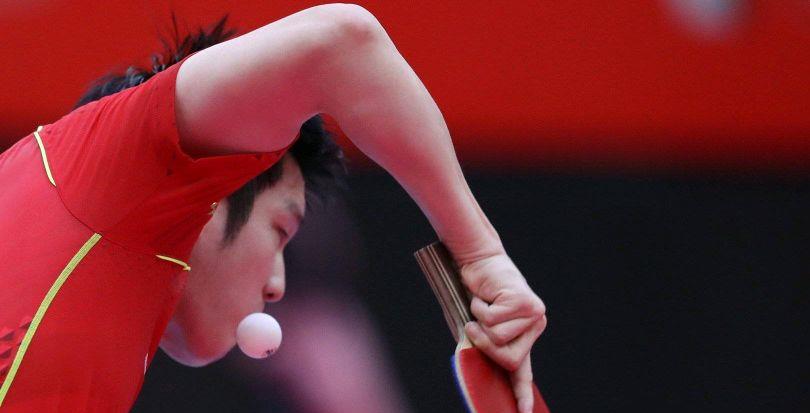 奶球妈咪聊|马龙夺冠延续定律,刘诗雯跟樊振东爱喝奶茶,要更改饮食习惯