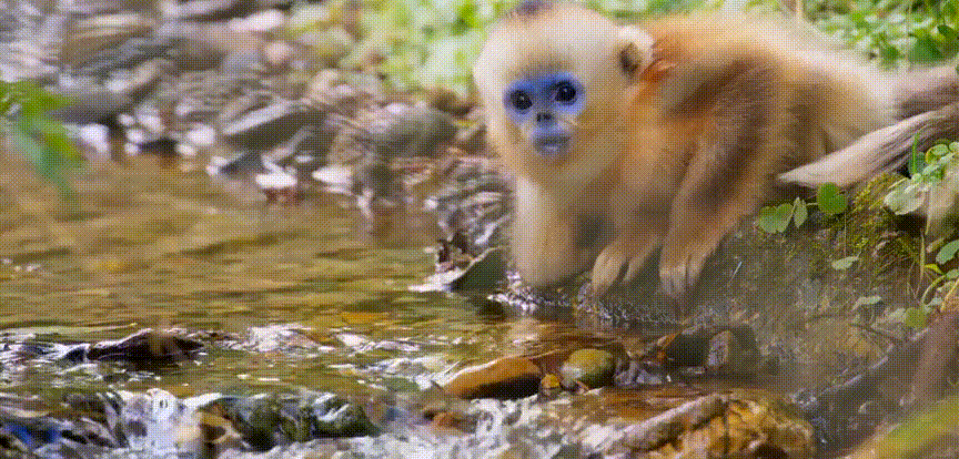 余男|开年第一部神作，狂野又震撼