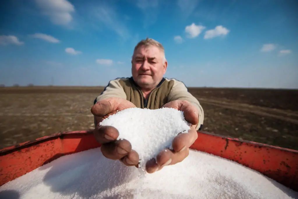 钾盐 “死亡之海”罗布泊地下埋藏5000亿宝藏，可养活几亿人？