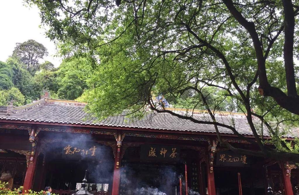 刘争光说家居|四川有一个县市，年平均温度18度，避暑记得带羽绒服